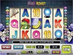 Magic Monkey Slots